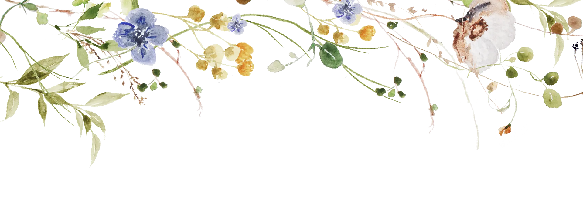 Floral Background